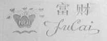 富财