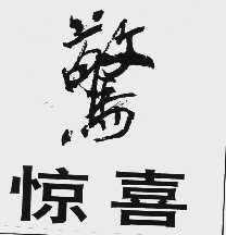 惊喜
