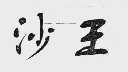 沙王