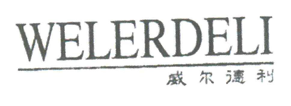 威尔德利WELERDELI