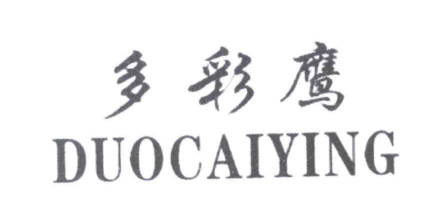多彩鹰