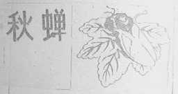 秋蝉