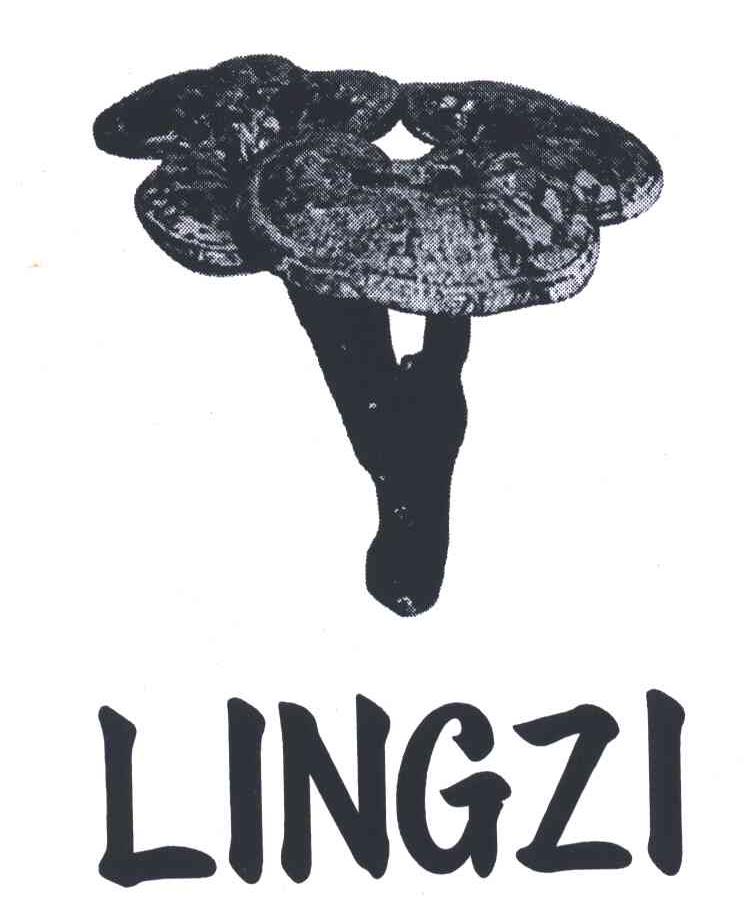 LING ZI