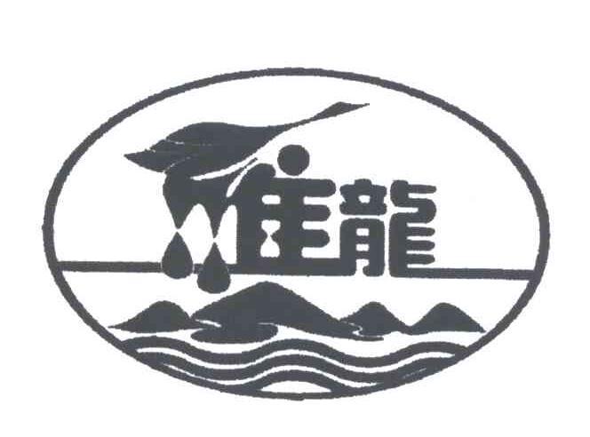 雁龙