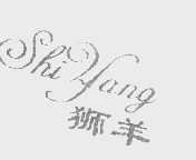 狮羊