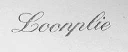 LOONPLIE