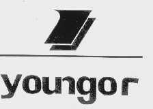 YOUNGOR