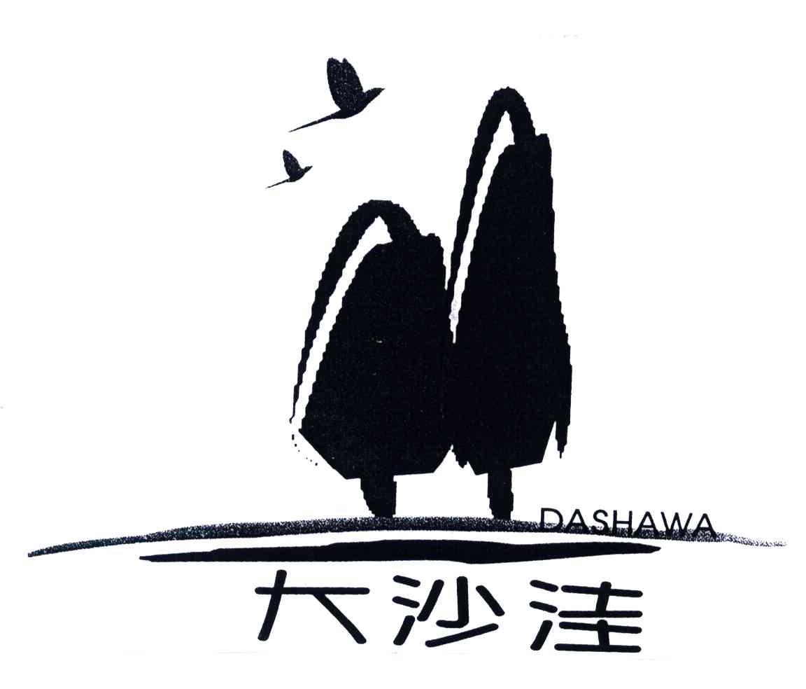 大沙洼