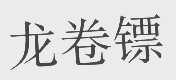 龙卷镖