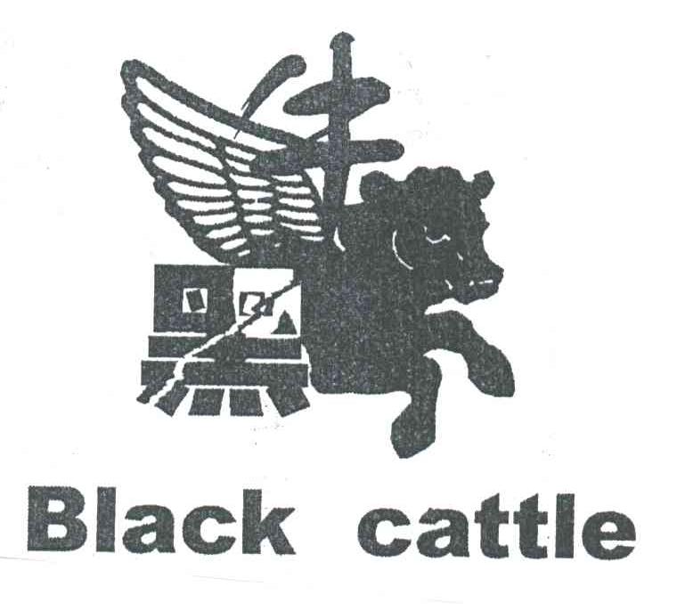 黑牛;BLACK CATTLE