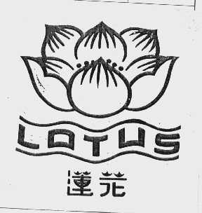 莲花   LOTUS