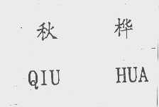 秋桦