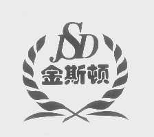 金斯顿   JSD