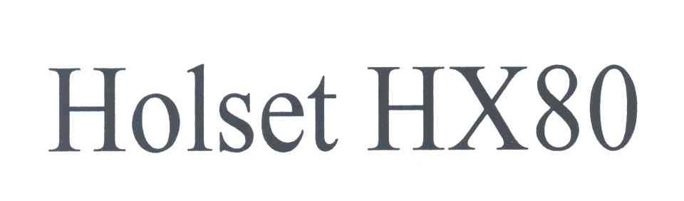 HOLSET HX80