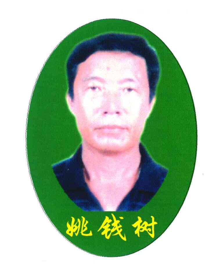 姚钱树