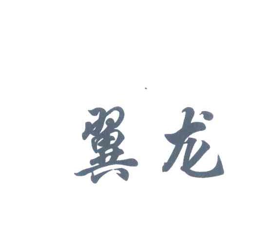 翼龙