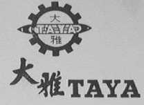 大雅    TAYA