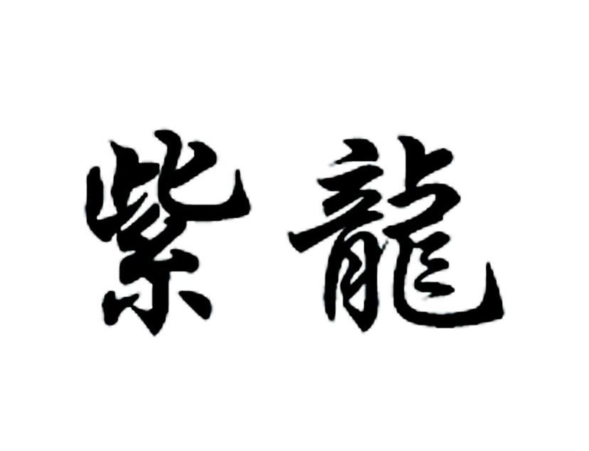 紫龙