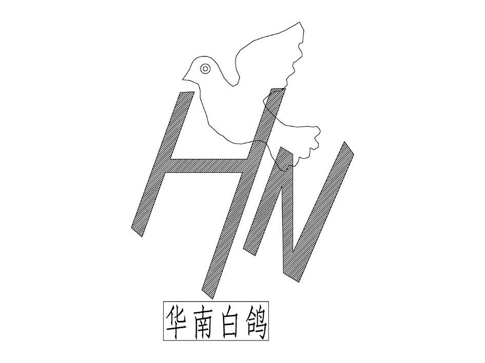 华南白鸽 HN