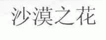 沙漠之花