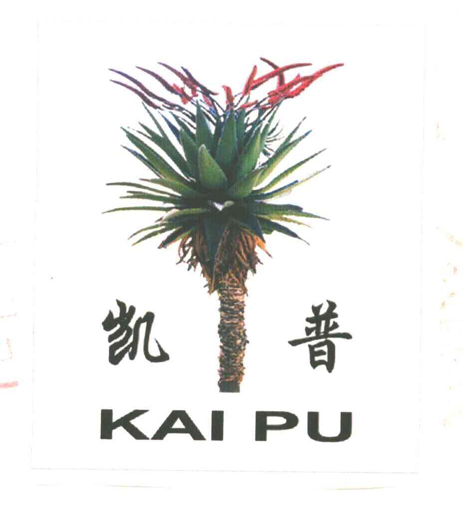 凯普