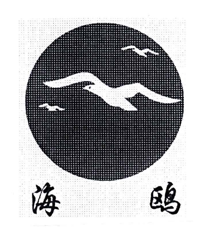 海鸥