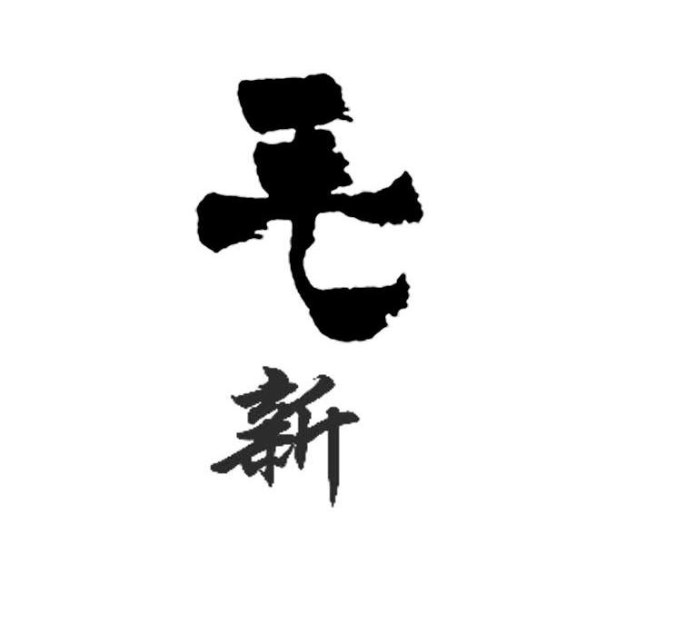 毛新