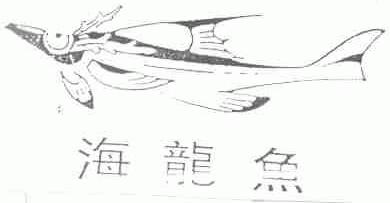 海龙鱼