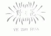 野之花