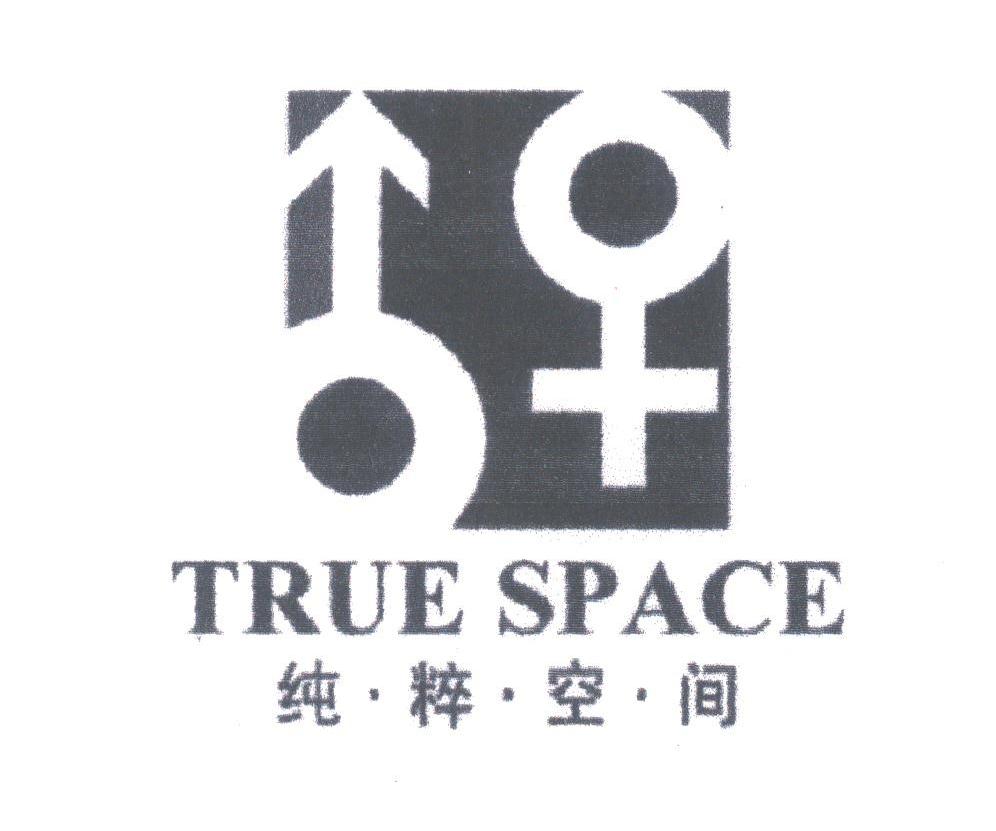 纯粹空间;TRUE SPACE