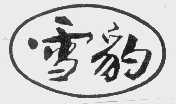 雪豹