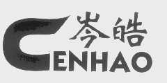 岑皓
