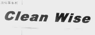 CLEAN WISE