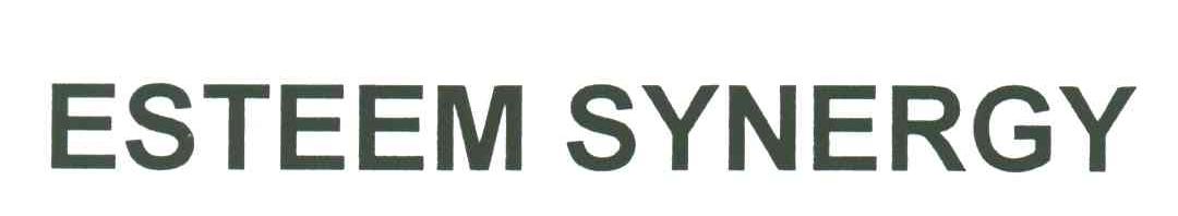 ESTEEM SYNERGY