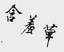 含羞草