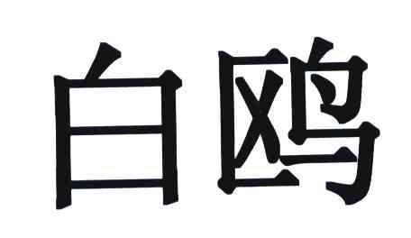 白鸥