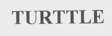 TURTTLE