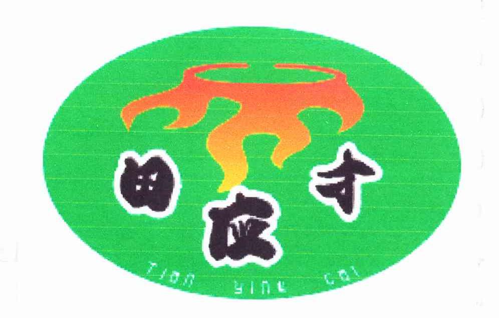 田应才