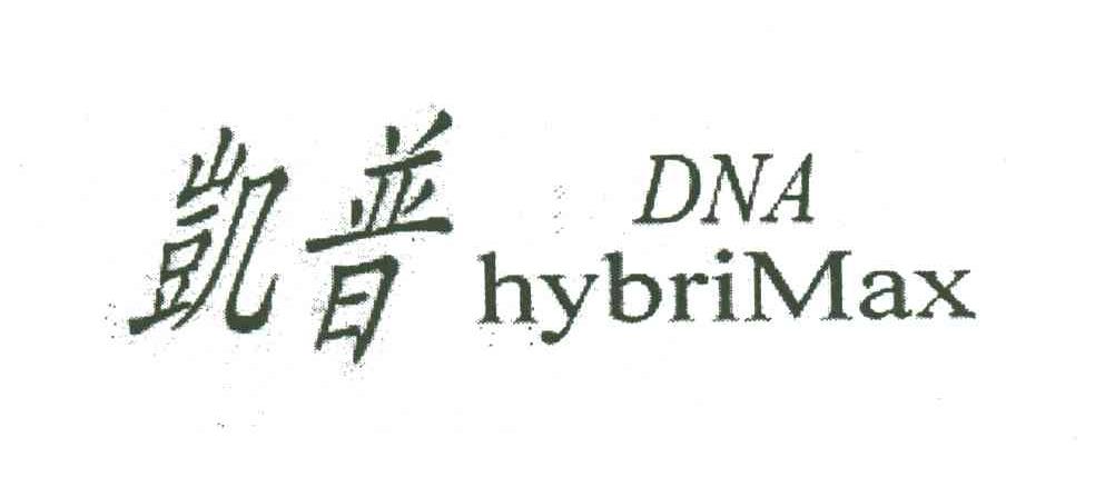 凯普;DNA HYBRIMAX