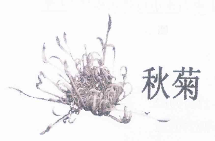 秋菊