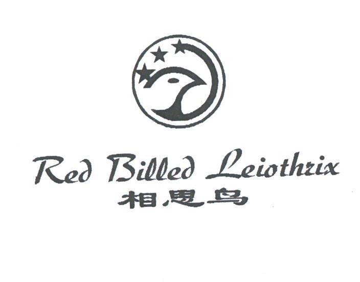 相思鸟;RED BILLED LEIOTHZIX