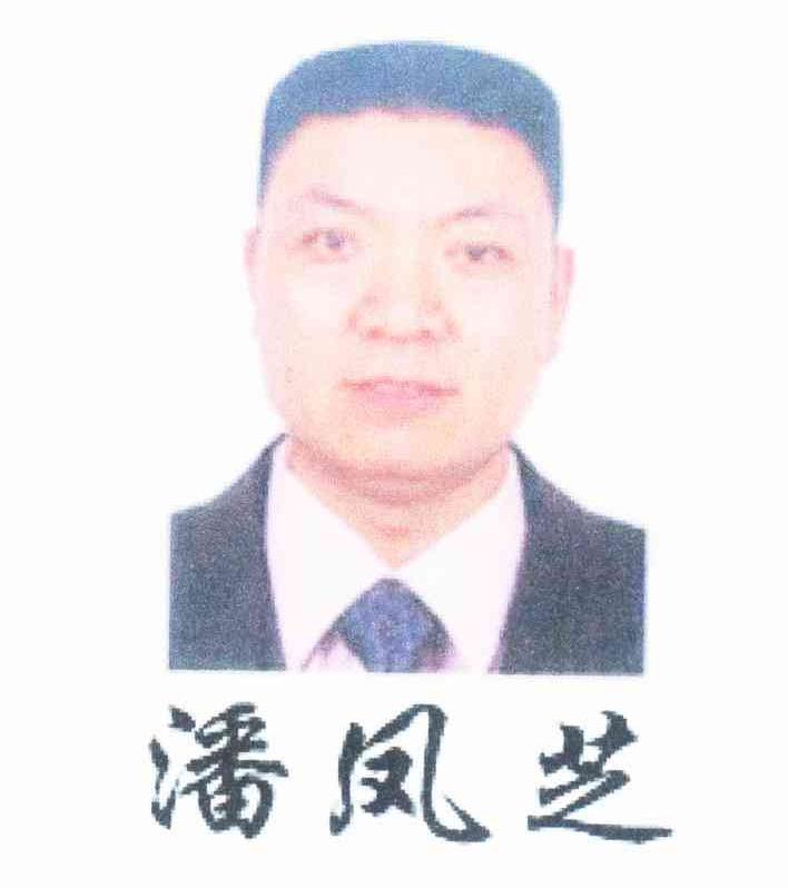 潘凤芝