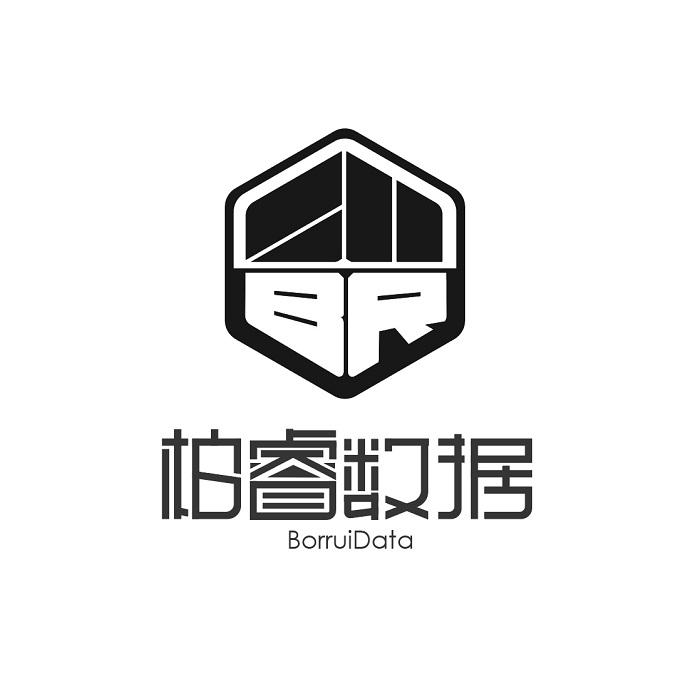 柏睿数据 BORRUIDATA BR