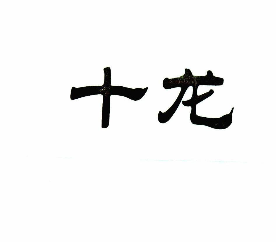 十龙
