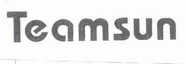 TEAMSUN