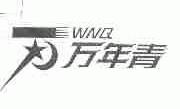 万年青;WNQ