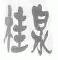 桂泉