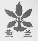 紫兰
