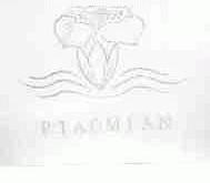 PIAOMIAN