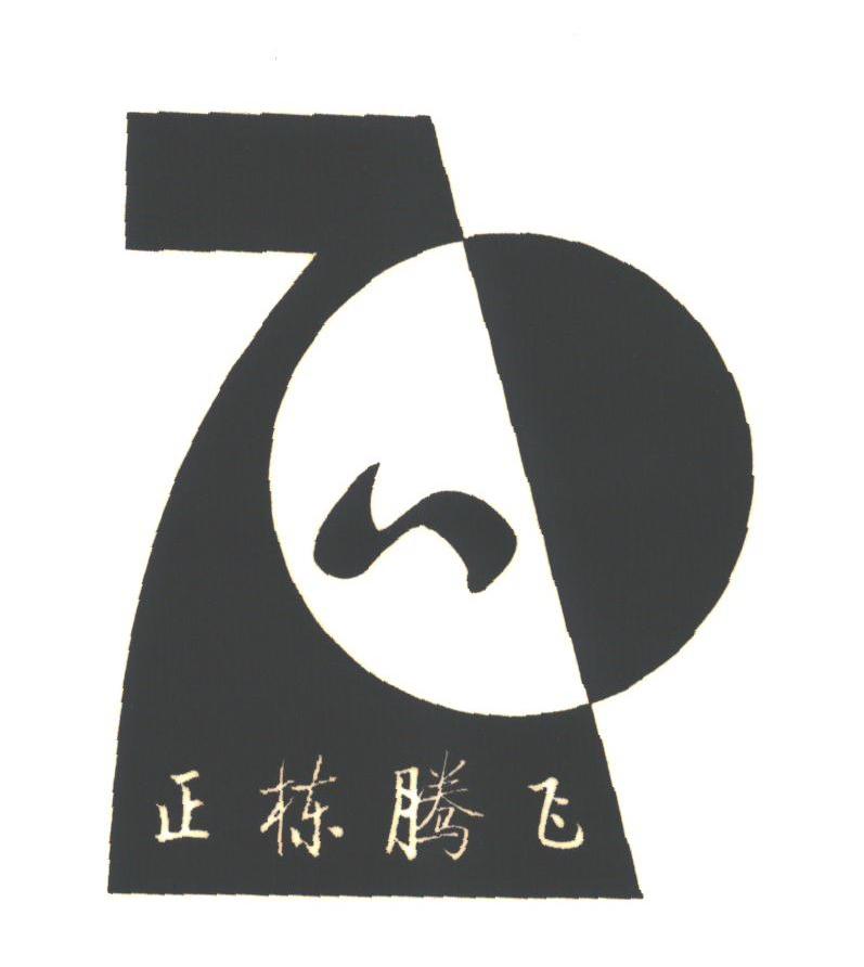 正栋腾飞